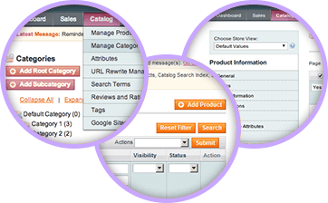 Warehouse integrated Catalog Management*